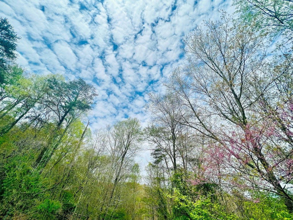 Sky Dares Me To&nbsp;Speak