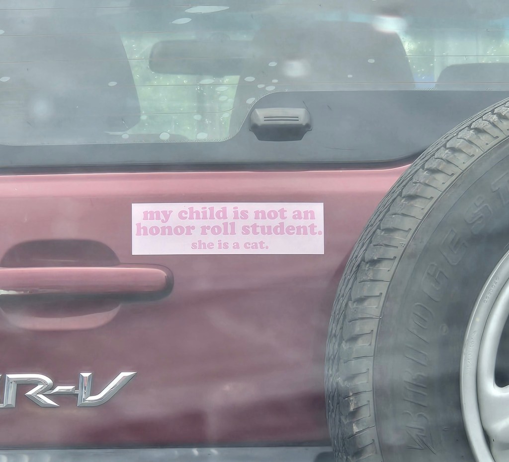 My Child, the&nbsp;Cat